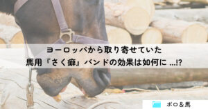 ヨーロッパから取り寄せていた馬用『さく癖』バンドの効果は如何に…!? 